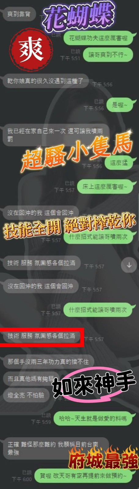 花蝴蝶｜台中定點茶資料照片 10