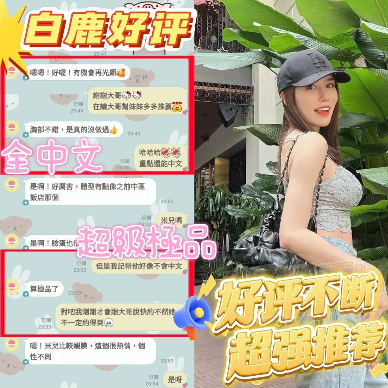 白鹿｜台南定點茶資料照片 9