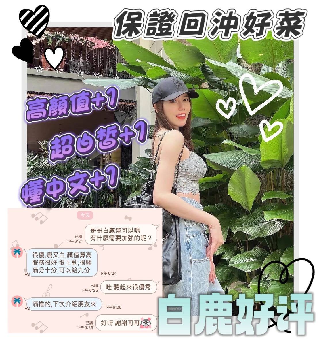 白鹿｜台南定點茶資料照片 10