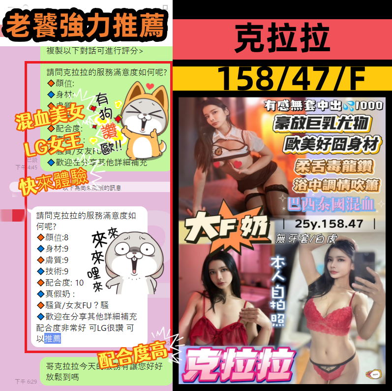 克拉拉｜桃園定點茶資料照片 5