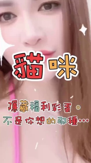 貓咪｜台東定點茶資料照片 2