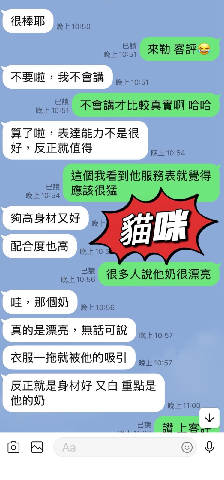 貓咪｜台東定點茶資料照片 4