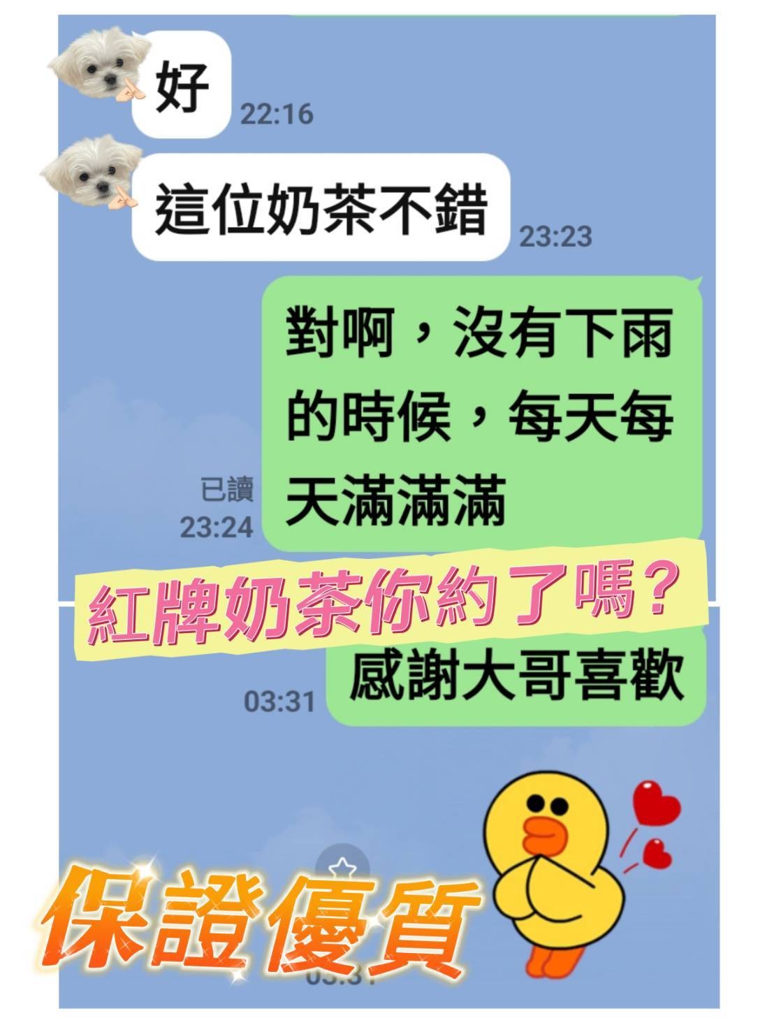 奶茶｜台南定點茶資料照片 13
