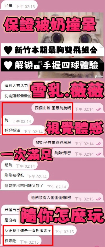 薇薇｜新竹定點茶資料照片 17