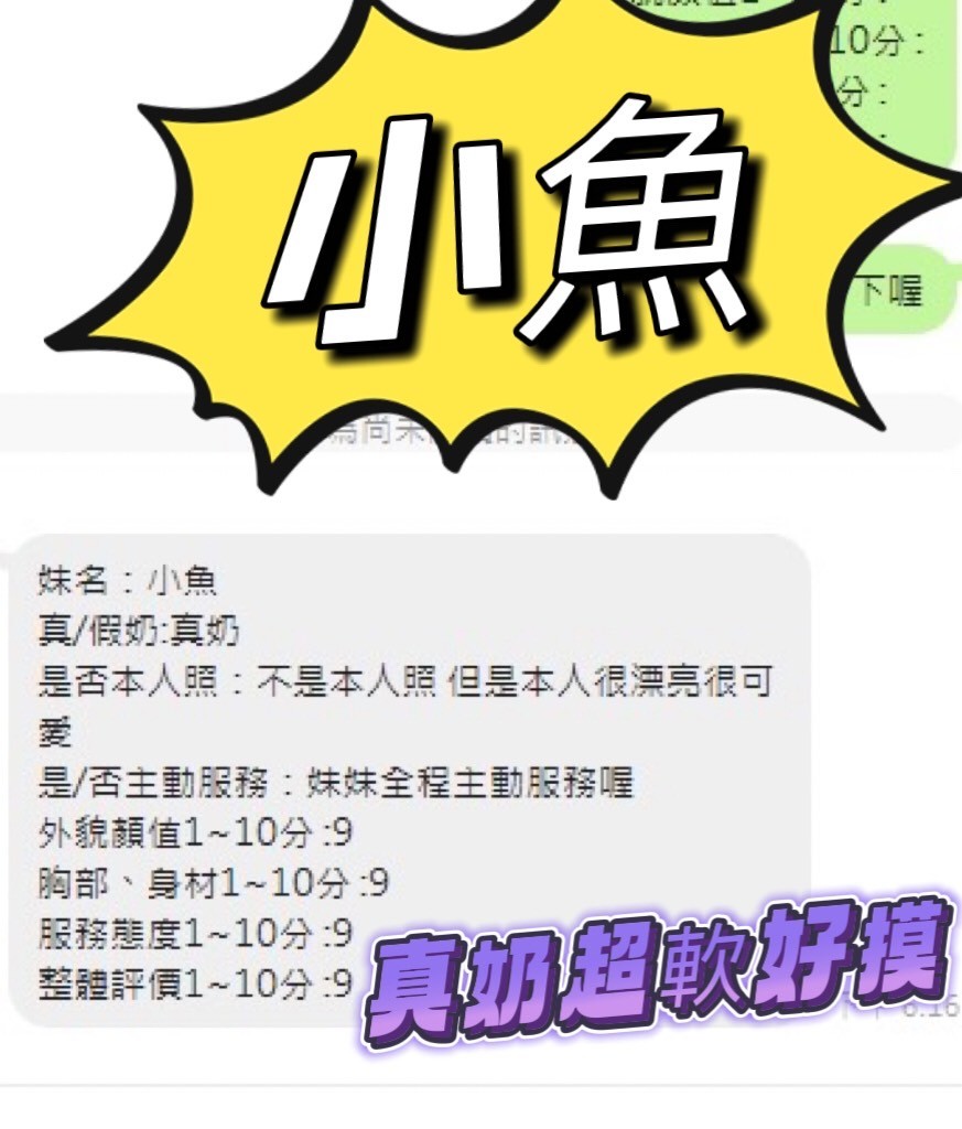 小魚｜南投定點茶資料照片 4