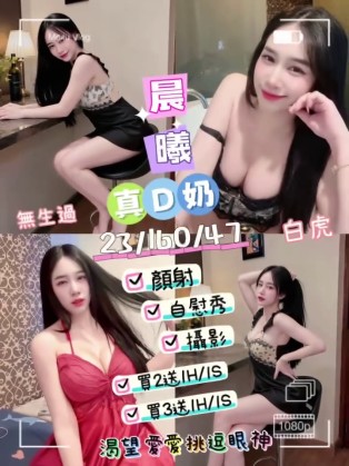 晨曦｜台東定點茶資料照片 2
