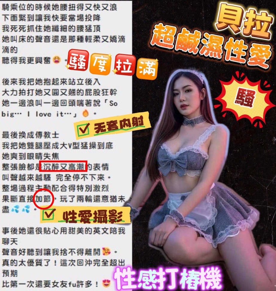 貝拉｜苗栗定點茶資料照片 8