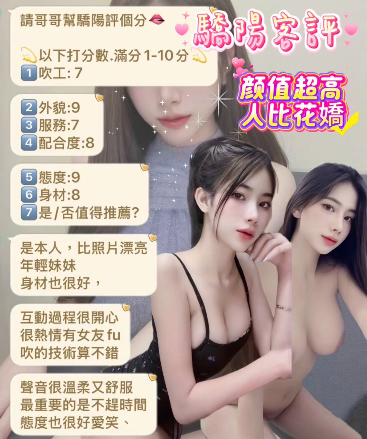 驕陽｜台北定點茶資料照片 10