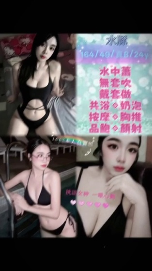 水豚｜新北定點茶資料照片 2