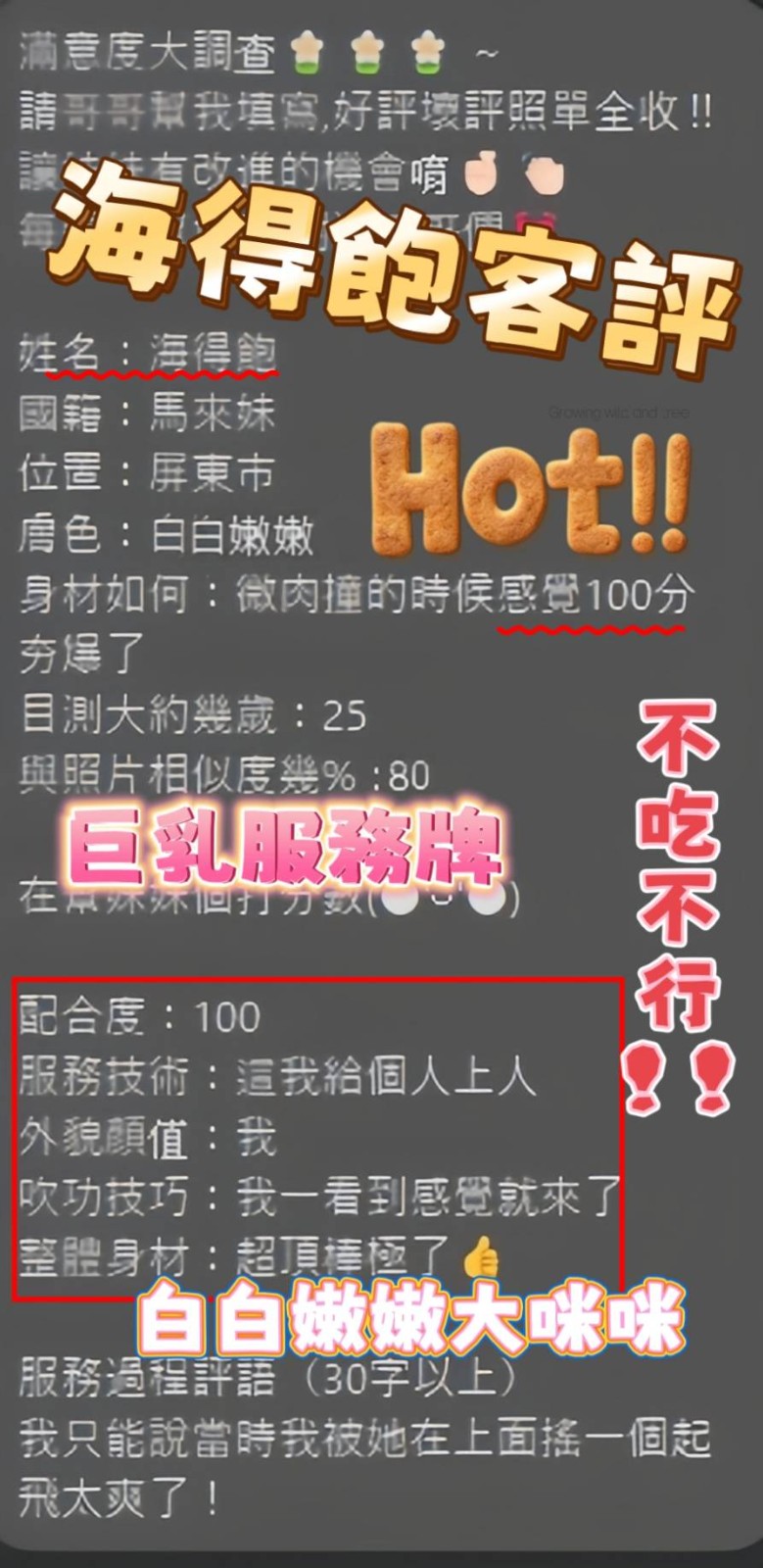 海得飽｜屏東定點茶資料照片 2