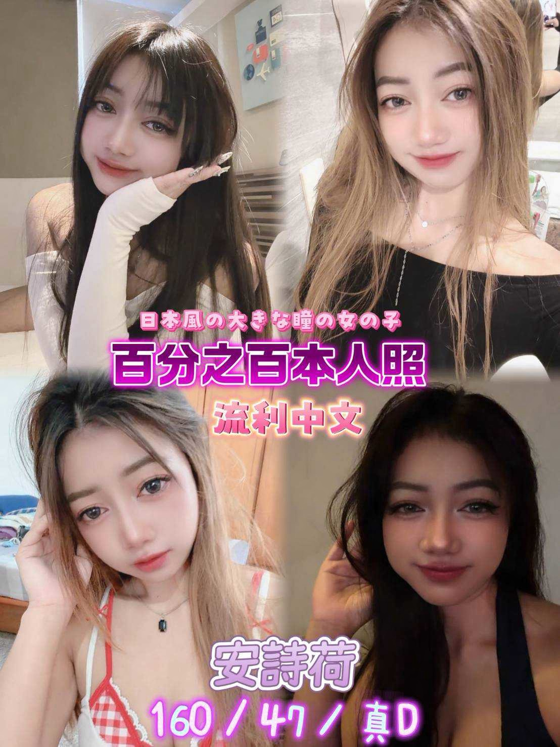安詩荷｜新北定點茶資料照片
